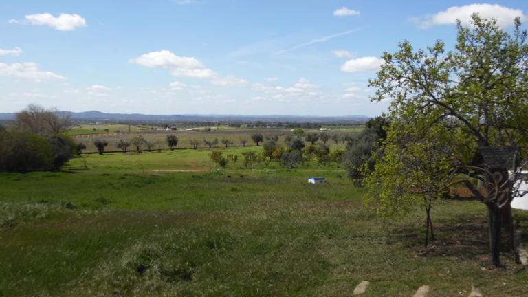 Screenshotter--AikiEnAikifarminPortugal-0’14”
