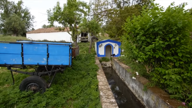 Screenshotter--AikiEnAikifarminPortugal-3’24”