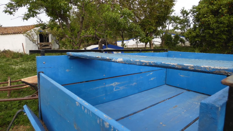 Screenshotter--AikiEnAikifarminPortugal-3’41”