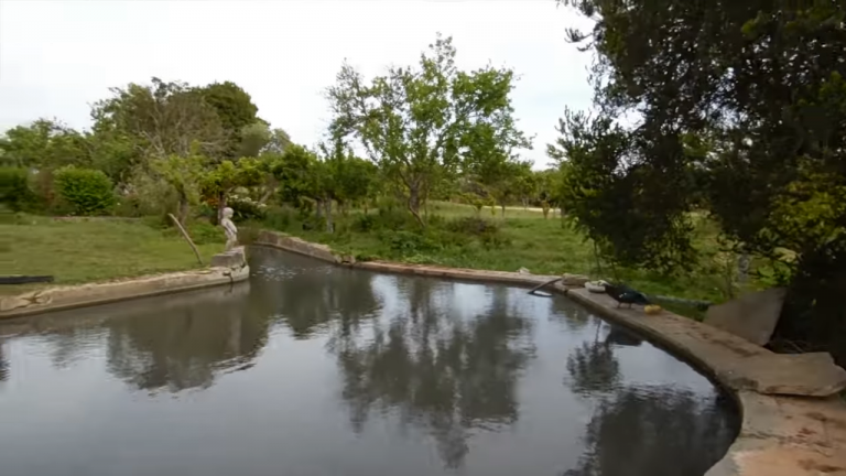 Screenshotter--AikiEnAikifarminPortugal-3’54”